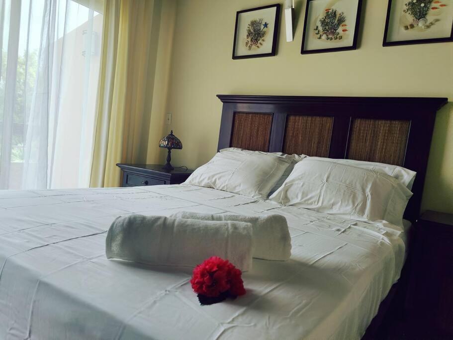 Aruba Family Oasis 2Br Pool 3Min Walk To Eagle Beach Palm Beach Zewnętrze zdjęcie