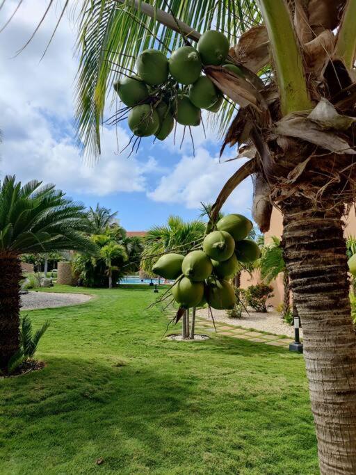 Aruba Family Oasis 2Br Pool 3Min Walk To Eagle Beach Palm Beach Zewnętrze zdjęcie