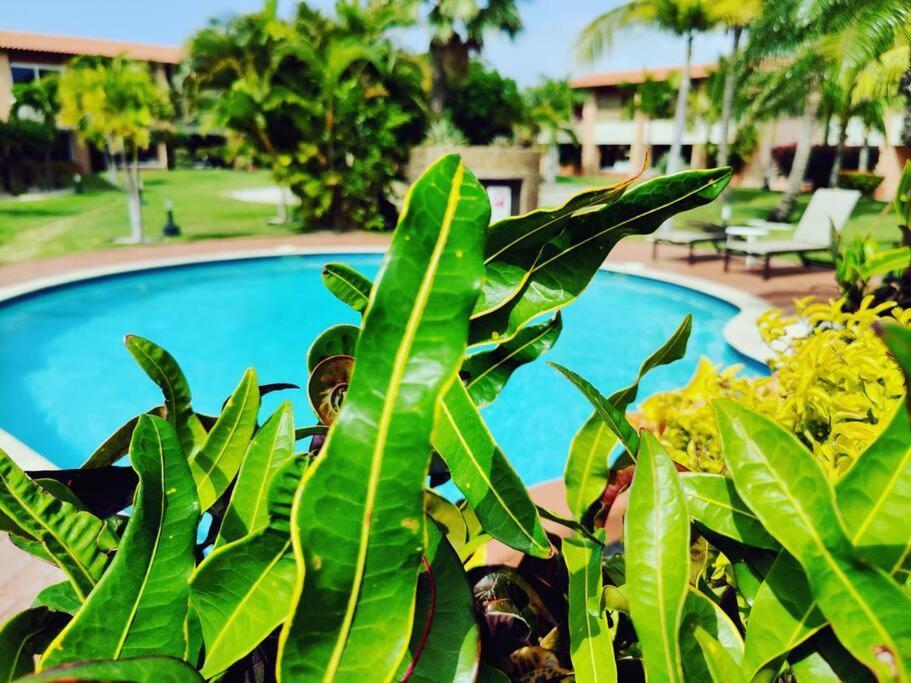 Aruba Family Oasis 2Br Pool 3Min Walk To Eagle Beach Palm Beach Zewnętrze zdjęcie