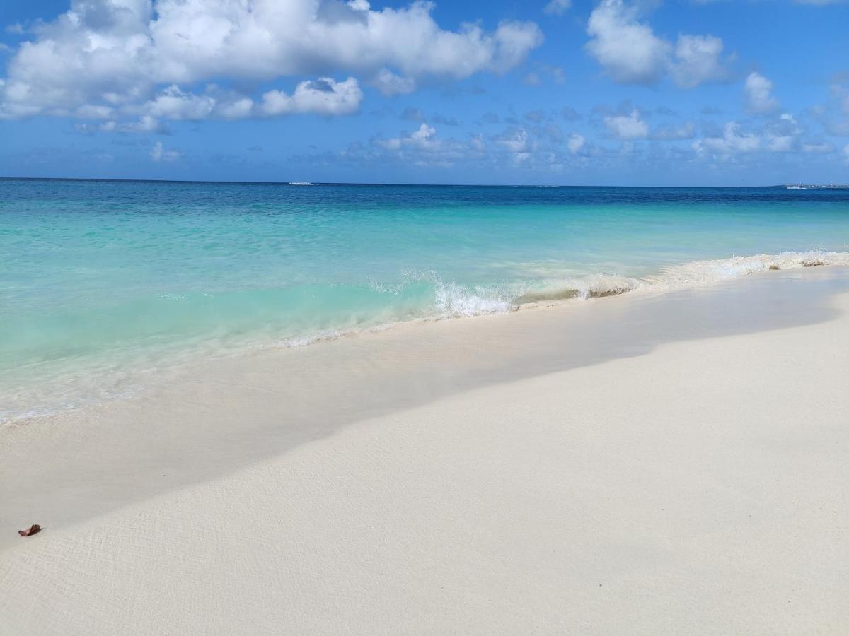 Aruba Family Oasis 2Br Pool 3Min Walk To Eagle Beach Palm Beach Zewnętrze zdjęcie