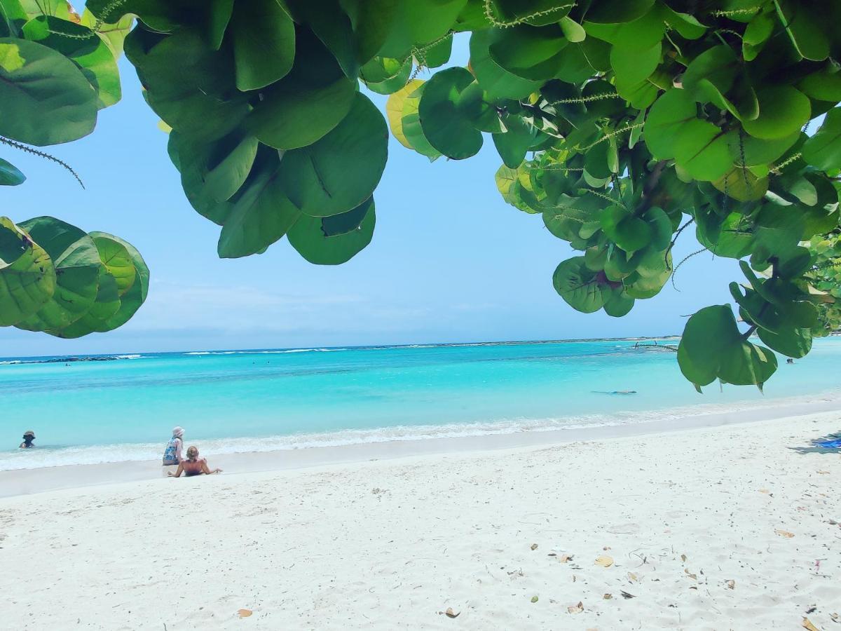 Aruba Family Oasis 2Br Pool 3Min Walk To Eagle Beach Palm Beach Zewnętrze zdjęcie